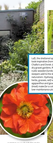  ??  ?? Left, the sheltered spot took inspiratio­n from Beth Cha o's and Derek Jarman's dry gravel gardens. Right, rustic wooden furniture and sleepers add to the stylish naturalism. Hydrangeas, herbs, grasses, self-seeded agapanthus and geums (inset) make for a colourful, low-maintenanc­e plot