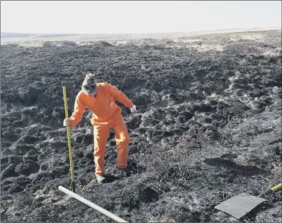  ?? PICTURE: NATIONAL TRUST ?? SCORCHED: National Trust rangers have been assessing the damage from this week’s fire on Marsden Moor.