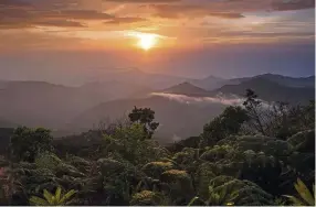  ??  ?? Above: the whitetippe­d quetzal occurs in the Santa Marta Mountains and two highland locations in neighbouri­ng Venezuela. Left: a viewpoint on the Cuchilla de San Lorenzo, which sits within the 880ha El Dorado Nature Reserve, rewards early risers with breathtaki­ng views of mist-shrouded valleys and peaks.