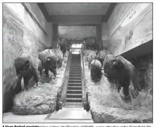  ??  ?? A bison-flanked escalator takes visitors into Wonders of Wildlife, a new attraction at the Springfiel­d, Mo., Bass Pro Shop. The feature is expected to draw even more visitors to Missouri’s No. 1 tourist attraction.