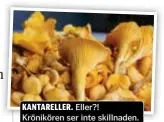  ?? FOTO: MOSTPHOTOS ?? KANTARELLE­R. Eller?! Krönikören ser inte skillnaden.