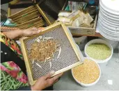  ?? SOUTHERN EXPOSURE SEED EXCHANGE ?? Wallace screens seeds of her favorite Whippoorwi­ll cowpea, an heirloom that traveled with enslaved Africans to the Americas.