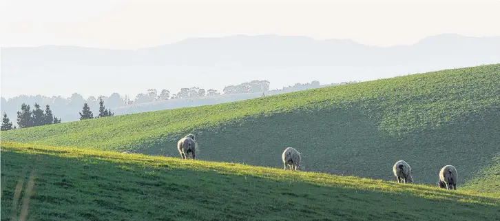  ?? PHOTO: STEPHEN JAQUIERY ?? Challenges coming . . . Freshwater rules that mean consents will be needed for intensive winter grazing on any farmland sloping more than 10 degrees, are setting up a standoff between farmers and the Government.