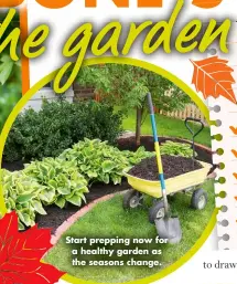  ?? ?? Start prepping now for a healthy garden as the seasons change.