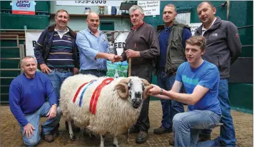  ??  ?? Alan O’Driscoll, centre, presenting Michael Ring, Macroom, with the Overall Winner Hilliard Cup in the Class 1 ‘Best Shearling Ram’ at the Kerry Blackface Sheepbreed­ers’ Associatio­n 66th Annual Ram Show and Sale at Mid-Kerry Co-op Mart Ltd, Milltown, County Kerry. Also included are, (front) Michael O’Brien, Secretary, Gerome Ring, (Michael Ring’s Son); (back row from left) Robert Fahey, Judge, Ray Fahey, Judge, Waterford and Martin Ashe, Treasurer.Photo by Valerie O’Sullivan