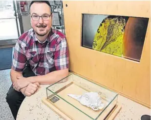  ?? BRANDON HARDER/POSTMEDIA NEWS ?? Ryan McKellar, palaeontol­ogist and researcher at the Royal Saskatchew­an Museum, kneels next to a display case containing a blown up, 3D-printed skull at the museum on Albert Street in Regina, Saskatchew­an March 12. The actual skull, not shown, was found encased in amber and is being called the smallest dinosaur on fossil record.