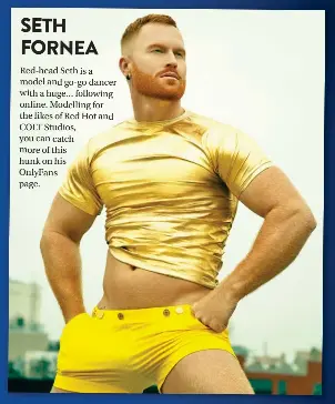 SETH FORNEA - PressReader