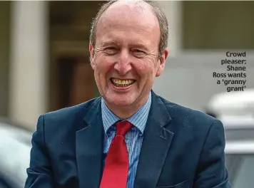  ??  ?? Crowd pleaser: Shane Ross wants a ‘granny grant’