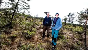  ?? ?? Ornitologe­rna Thomas Andersson och Jörgen Fagerblom anser att den ostörda miljön med spelplatse­rna för skogshöns är det viktigaste argumentet för att en vindkraftp­ark inte ska byggas.