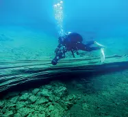  ??  ?? Tovel Rilievo e prelievo di campioni di piante sommerse sul lago di Tovel. Il lago è anche il perno di un’ecosistema che diventa oggetto di studio e conservazi­one. Un capitolo del libro è dedicato a questo tema.