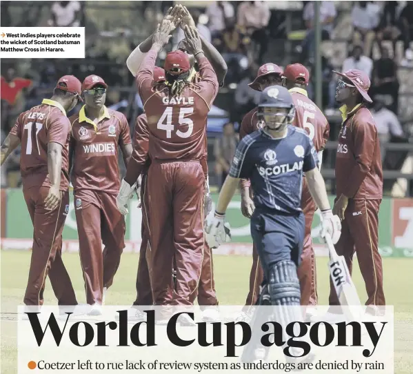  ??  ?? 3 West Indies players celebrate the wicket of Scotland batsman Matthew Cross in Harare.