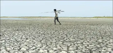  ??  ?? A man walks on the parched bed of a reservoir on the outskirts of Chennai. In January, all 32 districts in TN were declared droughthit.