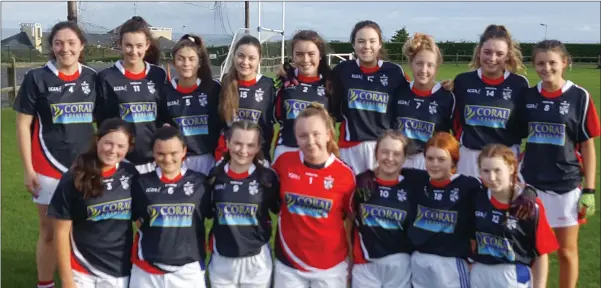  ??  ?? The Dominican College Wicklow senior Gaelic team who beat Baltinglas­s in their first league match.