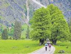  ?? FOTO: DPA/HILDENBRAN­D ?? Wanderer gehen im Oytal durch eine Bergahorn-Allee.