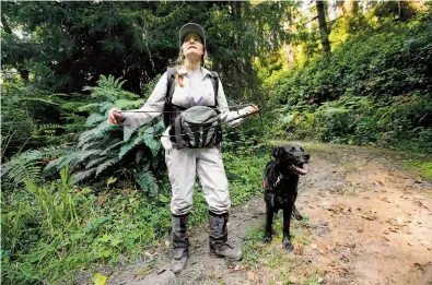  ?? Photos by Michael Macor / The Chronicle ?? Canine handler Debbie Woollett and sniffer dog Wicket look for white-footed voles in the forest near Eureka.