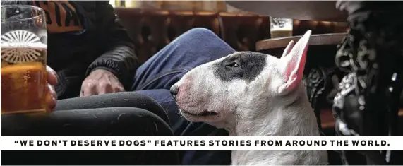  ??  ?? “WE DON'T DESERVE DOGS” FEATURES STORIES FROM AROUND THE WORLD.
Urtext Film Production­s