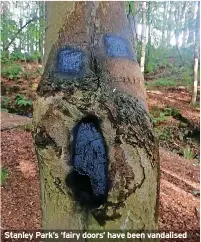  ?? ?? Stanley Park’s ‘fairy doors’ have been vandalised