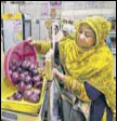  ?? PTI ?? The govt has pressed Mother Dairy outlets in Delhi, besides its own agencies, to sell onions at cheaper rates.