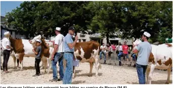  ??  ?? Les éleveurs laitiers ont présenté leurs bêtes au comice de Pleaux (M.B).