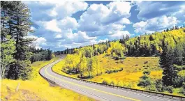  ??  ?? U.S. 64 between Tierra Amarilla and Tres Piedras is a prime spot to view fall colors.