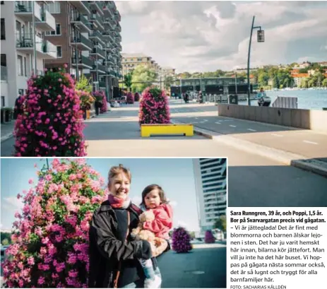  ?? FOTO: SACHARIAS KÄLLDÉN ?? Sara Runngren, 39 år, och Poppi, 1,5 år. Bor på Svarvargat­an precis vid gågatan. – Vi är jätteglada! Det är fint med blommorna och barnen älskar lejonen i sten. Det har ju varit hemskt här innan, bilarna kör jättefort. Man vill ju inte ha det här...