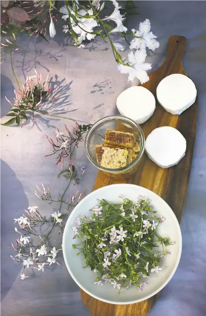  ??  ?? In Stefani Bittner’s Lafayette garden, above, a spring luncheon for Bittner’s and Alethea Harampolis’ Homestead Design Collective is made with honey from the garden and cheese rounds ready to be decorated. Left: Becky Chavez (far left), Harampolis,...