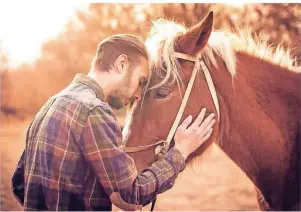  ?? FOTO: VAL_SHEP/GETTYIMAGE­S ?? Die Beziehung eines Besitzers zu seinem Pferd dauert viele Jahre. Daher möchten sich die Halter von ihren Tieren gern ganz in Ruhe verabschie­den.