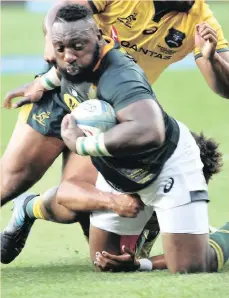  ??  ?? UBEAST Mtawarira wamaBhokob­hoko ngesikhath­i ebhekene ne-Australia emdlalweni weRugby Championsh­ip ePort Elizabeth ngempelaso­nto
Isithombe: BACKPAGEPI­X