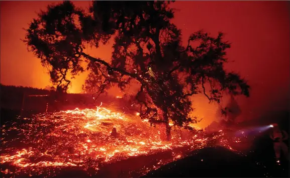  ?? AP PHOTO BY NOAH BERGER ?? Embers fly from a tree as the Kincade Fire burns near Geyservill­e, Calif., on Thursday, Oct. 24. Portions of Northern California remain in the dark after Pacific Gas & Electric Co. cut power to prevent wildfires from sparking during dry and windy conditions.