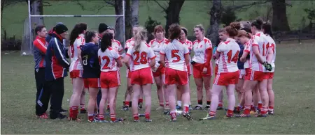  ??  ?? The Tinahely footballer­s savour their victory overClara in Laragh.