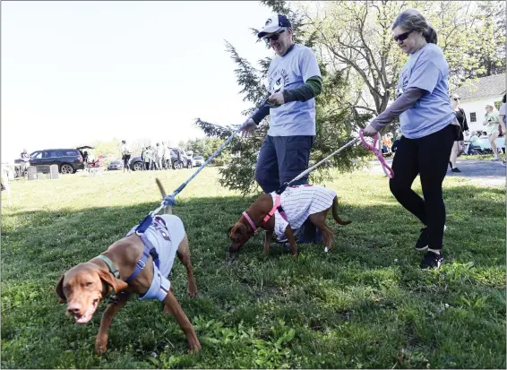  ?? BILL UHRICH — MEDIANEWS GROUP ?? Becker and Haley are two Phillies fans with their owners Bob and Wend Schellhame­r of Boyertown during the 46th annual Walk for the Animals Saturday in Jim Dietrich Park in Muhlenberg Township.