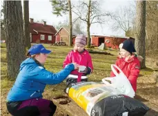  ??  ?? FÖRNYELSE. Hanna Sundegård hjälper Alice och Signe att plantera tallkottar.