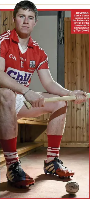  ??  ?? REVENGE: Cork’s Conor Lehane says the Rebels are driven by the memories of being beaten by Tipp (inset)