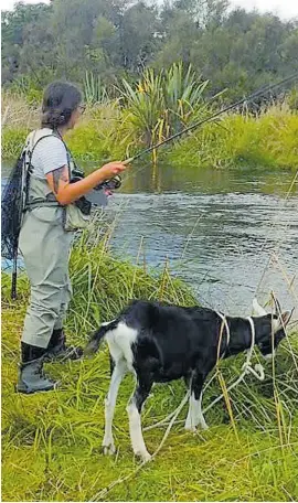  ??  ?? Philip the goat likes to go fishing on the Waitahanui River near Taupo with his owner, Theresa Bilby.