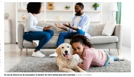  ?? © ISTOCK / CITY PRESSE ?? En cas de divorce ou de succession, le devenir de votre animal peut être incertain.