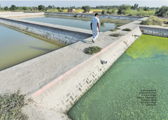  ??  ?? PHOTOGRAPH­S: VIKAS CHOUDHARY / CSE A working Waste Stabalisat­ion Pond in Badal Village, Muktsar. It is treating sewerage coming out of two village panchayats