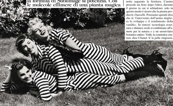  ??  ?? Dall’alto. La Crème Sublimage di Chanel: si applica mattina e sera, dopo L’Essence. Still life Pietro Scordo. Un’immagine (@Chanel) del metodo di impollinaz­ione manuale della vanilla planifolia. Sotto. Foto Ellen von Unwerth da “Vogue Italia”, dicembre...