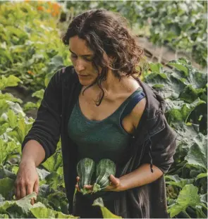  ??  ?? The author of this article, Javiera Ide, working in the garden. La autora de este artículo, Javiera Ide, trabajando en el huerto.