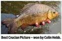 ??  ?? Best Crucian Picture – won by Colin Hebb.