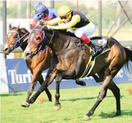  ?? Picture: JC Photograph­ics ?? GIRL POWER. Filly Cascapedia, trained by Mike de Kock, has won six of her seven starts and is the 9-2 opening favourite for the Grade 3 Victory Moon Stakes to be run at Turffontei­n in a week’s time.