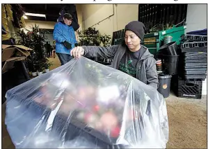  ?? AP/JEFF CHIU ?? In this photo taken earlier this month, The Wright Gardner operations associate Jason Biting (right) and operations supervisor Maureen Grady prepare plants for delivery in South San Francisco, Calif.