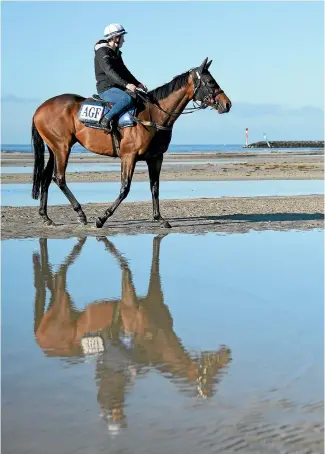  ?? GETTY IMAGES ?? Probabeel takes it easy at the beach this week while preparing for today’s Cox Plate in Melbourne.