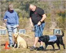  ??  ?? (right) Smith (far right) with his black labrador Leroy undergoing training in the Integra Service Dogs Australia programme which is helping former servicemen (top) cope with PTSD.