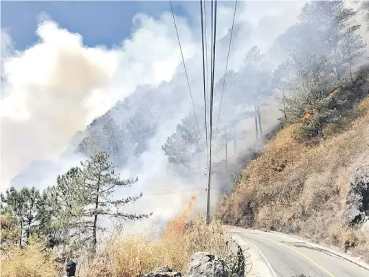  ?? PhoToGRAPh CouRTESy of ATok MDRRMo ?? smoKE billowing from the forest along a highway in Benguet province has rendered the road impassable to motorists.