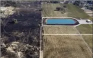  ?? MARCIO JOSE SANCHEZ — THE ASSOCIATED PRESS ?? Fire damage is seen next to a vineyard Saturday in Santa Rosa