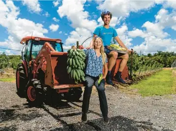  ?? MATIAS J. OCNER/AP PHOTOS ?? Rane Roatta, 29, right, and Edelle Schlegel, 25, the founders of Miami Fruit, hold some of the produce from their farm in Homestead that they sell online. Miami Fruit, an online company that sends boxes of fruits to customers around the United States and the world, uses social media to promote their products to their followers..