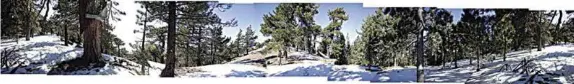  ?? CALIFORNIA­N FILE PHOTO ?? A mosaic of 10 photograph­s at the boundary between the park boundary and private land near the top of Tehachapi Peak, as shown in 2012.