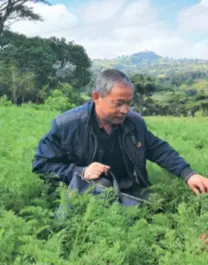  ??  ?? Liu Shouyun (left) and an Ethiopian expert inspect carrot plants in Ethiopia