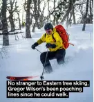  ??  ?? No stranger to Eastern tree skiing, Gregor Wilson’s been poaching lines since he could walk.
