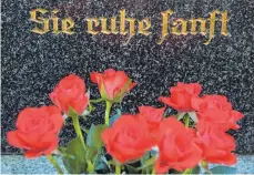 ?? FOTO: ANDREA WARNECKE ?? Ein leuchtende­r Abschiedsg­ruß am Grab: Die Rose steht wie keine andere Blume für die ewige Liebe.